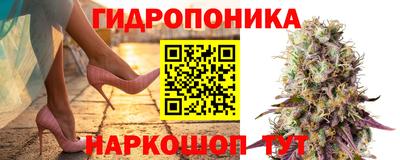 бошки Будённовск